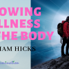 Allowing Wellness in the Body