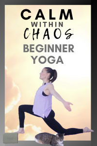 calm within chaos beginner yoga